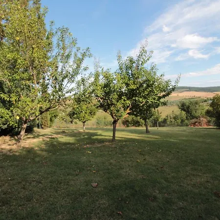 La Dei Fiori San Rocco a Pilli