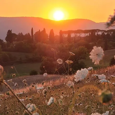 La Dei Fiori Вилла